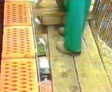 obra (196) PREVENCION RIESGOS LABORALES